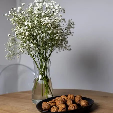 Apartament Centro Pula