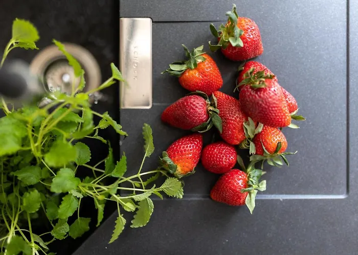 Centro Διαμέρισμα