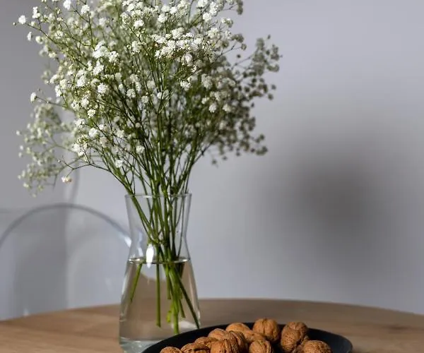 Διαμέρισμα Centro Πούλα