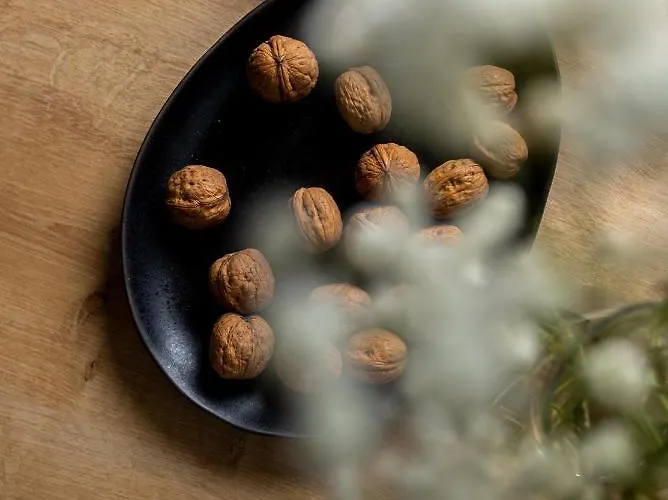 Centro 아파트 풀라